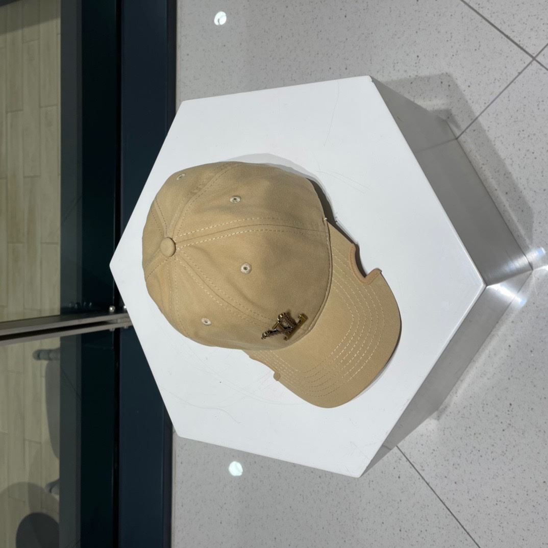 Louis Vuitton Caps